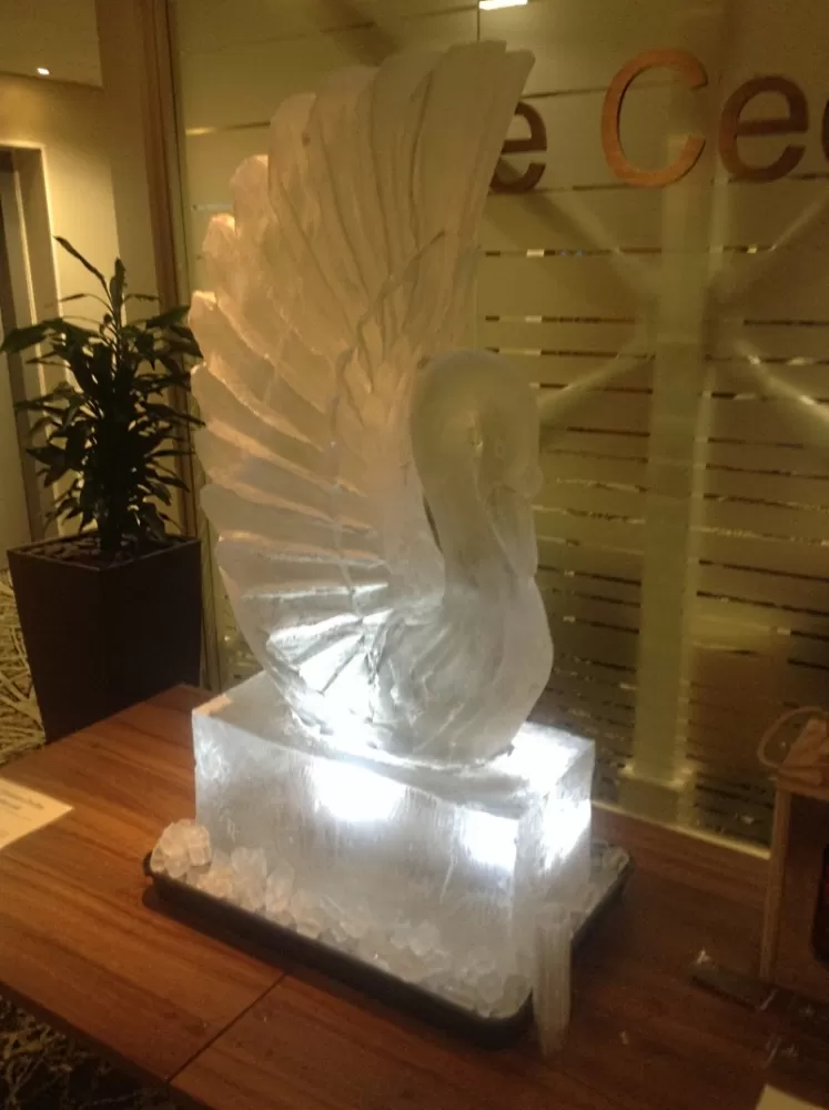 Side view of Swan Vodka Luge from Passion for Ice