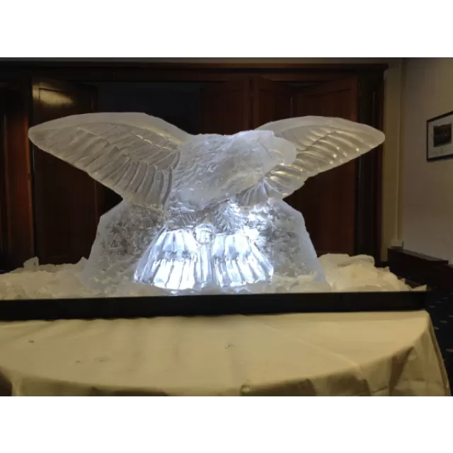 RAF Swooping Eagle Vodka Luge from Passion for Ice