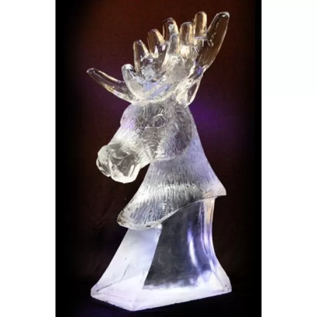 Stag's Head from Passion for Ice