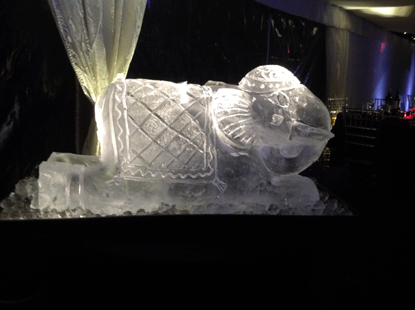 Kneeling Elephant Vodka Luge from Passion for Ice